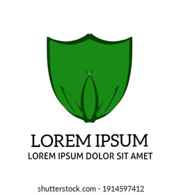 Shield With Green Leaves. Creative Logo Design Templete