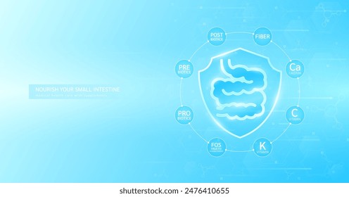 Shield healthy small intestine build immunity with probiotic fiber and vitamins minerals surrounded. Nourish by medical health care supplements. Used for designing food and medicine ads. Vector.