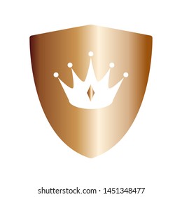shield icon logo vector design template