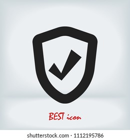 shield icon, stock vector illustration flat design style