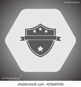 Shield protection icon