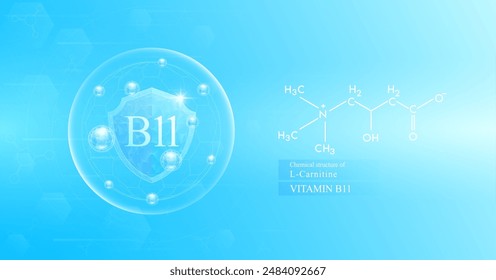 Shield vitamin B11 in dome with blue atom around. Chemical structure of L Carnitine. Protect and build immunity healthy. Medical scientific concepts. Banner vector illustration.