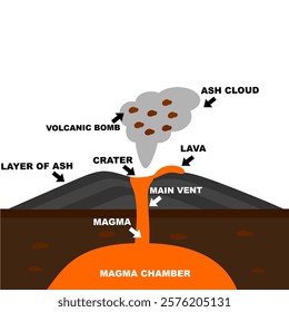 Shield Volcano vector illustration. Geography learning explanation. Parts of volcano vector diagram. Printable graphic for book or digital usage