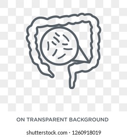 Shigellosis icon. Trendy flat vector Shigellosis icon on transparent background from Diseases collection. High quality filled Shigellosis symbol use for web and mobile