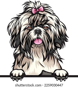 Shih Tzu Color Peeking Dogs. Color image of a dogs head isolated on a white background. Dog portrait, Vector illustration