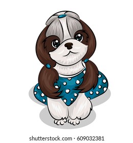 shih tzu dog