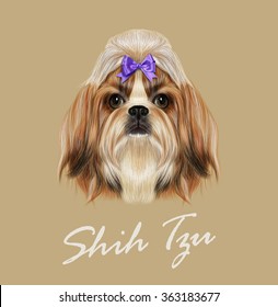 Shih Tzu dog animal cute face. Vector funny Chinese purebred Shih tzu puppy head portrait. Realistic fur portrait of gold and white young Shih tzu doggy isolated on beige background.