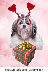 Shih tzu dog birthday. Cute puppy with gift and hearts ears.