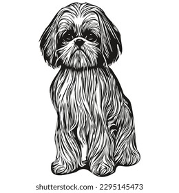 Shih Tzu dog black   white vector logo  line art hand drawn vector pets illustration
