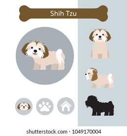 Shih Tzu Dog Breed Infographic, Illustration, Front and Side View, Icon