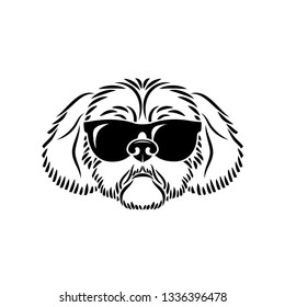 Shih Tzu Dog face wearing sunglasses    isolated vector illustration