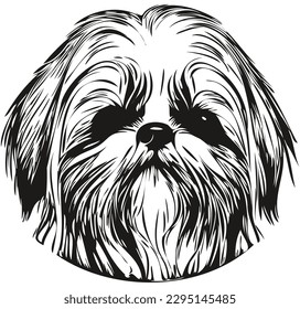 Shih Tzu dog hand drawn logo line art vector drawing black   white pets illustration
