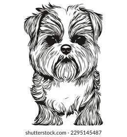 Shih Tzu dog hand drawn line art vector drawing black   white logo pets illustration
