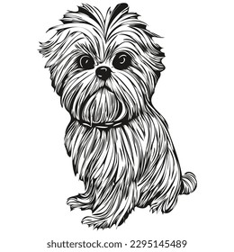 Shih Tzu dog hand drawn line art vector drawing black   white logo pets illustration
