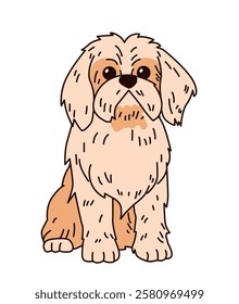 Shih Tzu dog illustration cute cartoon style features fluffy brown and cream fur sitting on white background perfect for pet-themed designs