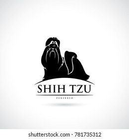 Shih Tzu dog - isolated vector illustration