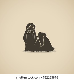 Shih Tzu dog - isolated vector illustration