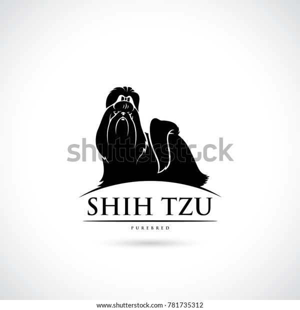 Shih Tzu Dog Isolated Vector Illustration Stock Vector (Royalty Free ...