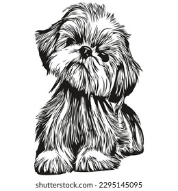Shih Tzu dog line art hand drawing vector logo black   white pets illustration

