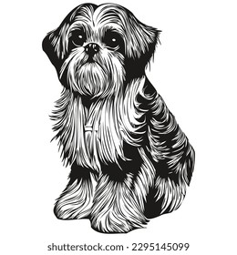 Shih Tzu dog line art hand drawing vector logo black   white pets illustration
