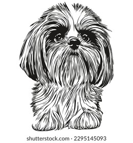 Shih Tzu dog logo hand drawn line art vector drawing black   white pets illustration
