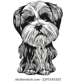 Shih Tzu dog logo hand drawn line art vector drawing black   white pets illustration

