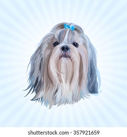 Shih tzu dog portrait in blue colors