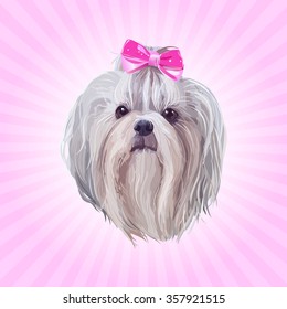 Shih tzu dog portrait in pink colors