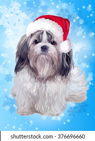 Shih tzu dog in Santa hat on winter blue background