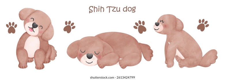 Shih Tzu Dog set watercolor style illustration with Different Poses and Expressions