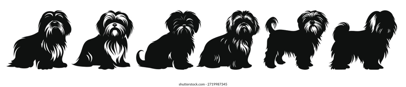 shih tzu cão silhuetas conjunto vetorial cães raça preto 