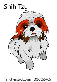 shih tzu dog vector illustration