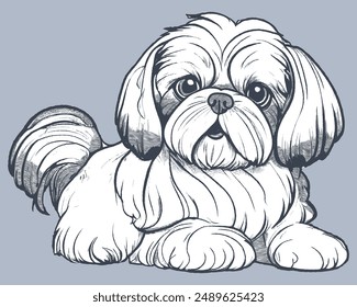 A Shih Tzu dog. Very cute.Vector Dog illustrations , Hand Draw