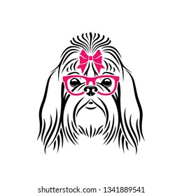 Shih Tzu Dog wearing eyeglasses - isolated vector illustration