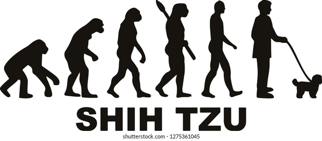 Shih Tzu evolution with name