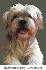 Shih Tzu illustration. Low poly dog vector. Maltese cross. 