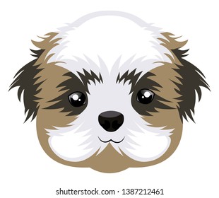 Shih Tzu illustration vector on white background