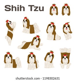 Shih Tzu illustration,dog poses,dog breed