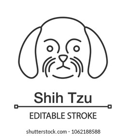 Shih Tzu linear icon. Thin line illustration. Chrysanthemum dog breed. Contour symbol. Vector isolated outline drawing. Editable stroke