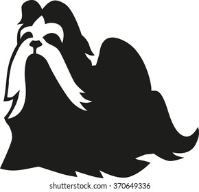 1000 Shih Tzu Silhouette Stock Images Photos Vectors