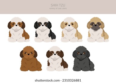 Shih Tzu puppy, coat colors set.  Vector illustration svg