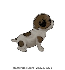Shih Tzu puppy dog vector ilustration isolated design template 