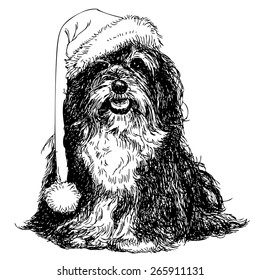 Shih Tzu with santa claus hat hand drawn vector , use for christmas background