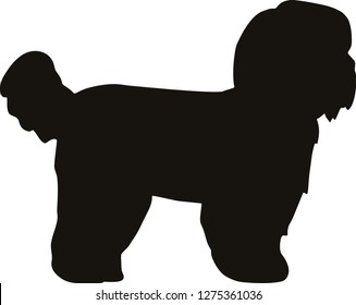 1000 Shih Tzu Silhouette Stock Images Photos Vectors