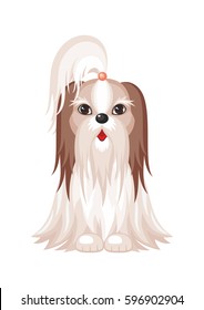 Shih Tzu. Vector image of a cute purebred dogs in cartoon style.
