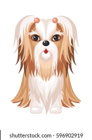 Shih Tzu. Vector image of a cute purebred dogs in cartoon style.