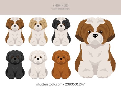 Clíparte Shih-Poo. Mezcla Shih-Tzu Poodle. Colores de abrigo diferentes.  Ilustración del vector