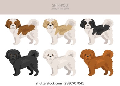 Clíparte Shih-Poo. Mezcla Shih-Tzu Poodle. Colores de abrigo diferentes.  Ilustración del vector