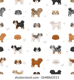 Shih-Poo clipart. Shih-Tzu  Poodle mix. Different coat colors set.  Vector illustration
