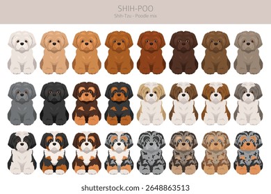 Shih-Poo clipart. Shih-Tzu  Poodle mix. Different coat colors set.  Vector illustration